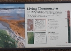 Norris Thermophile Sign